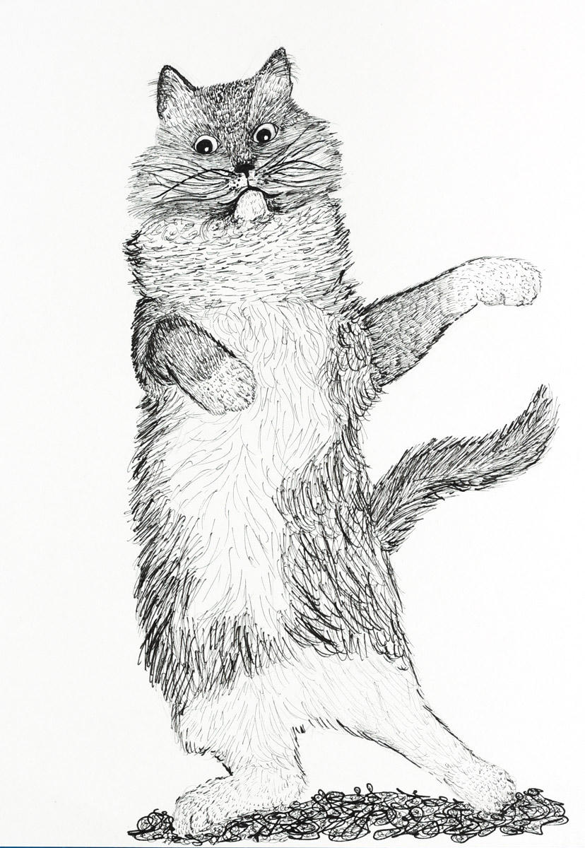 Katt - maestro 3