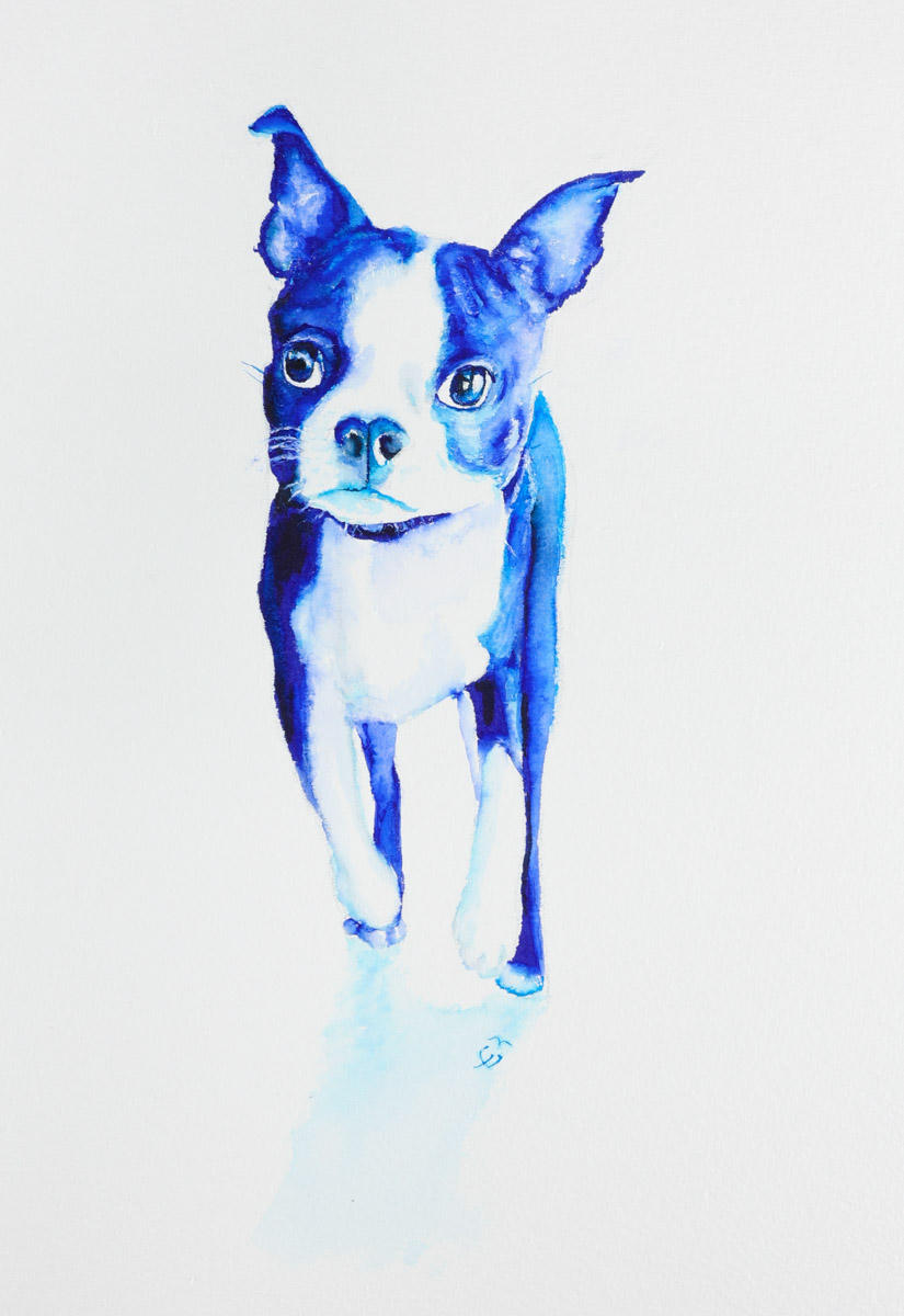 Diego