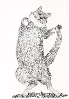 Katt - maestro 4/
